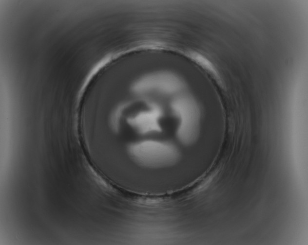 X0000086791326200705041540