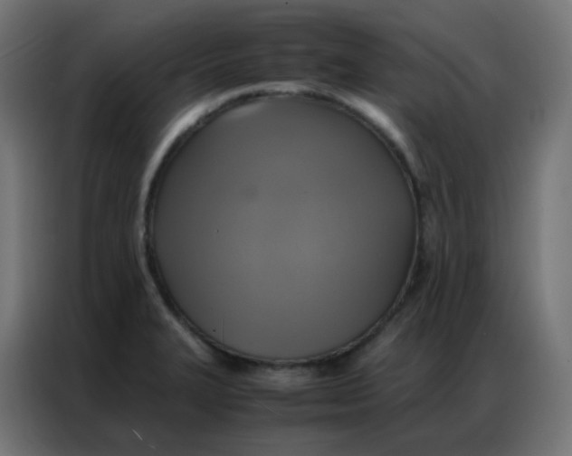 X0000086791327200705041540