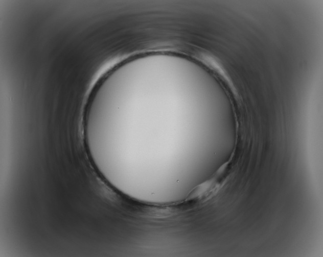 X0000086791328200705041540