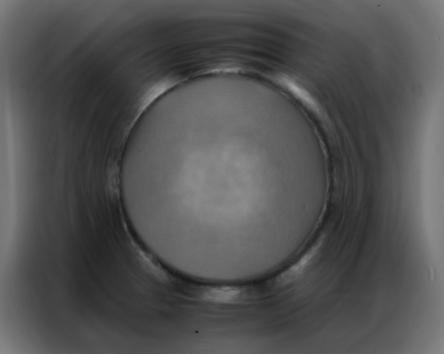 X0000086791329200705041540