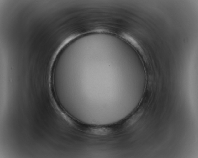 X0000086791331200705041540