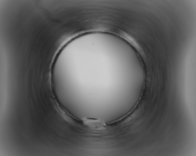 X0000086791332200705041540