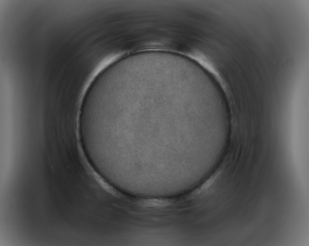 X0000086791333200705041540