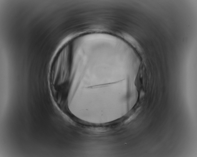 X0000086791334200705041540