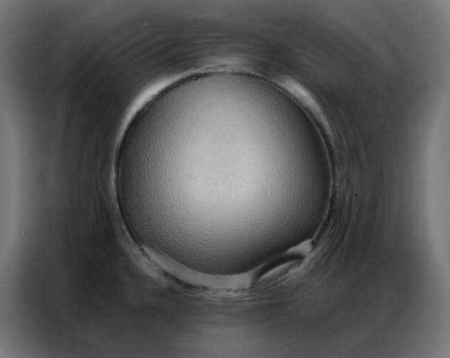 X0000086791336200705041540