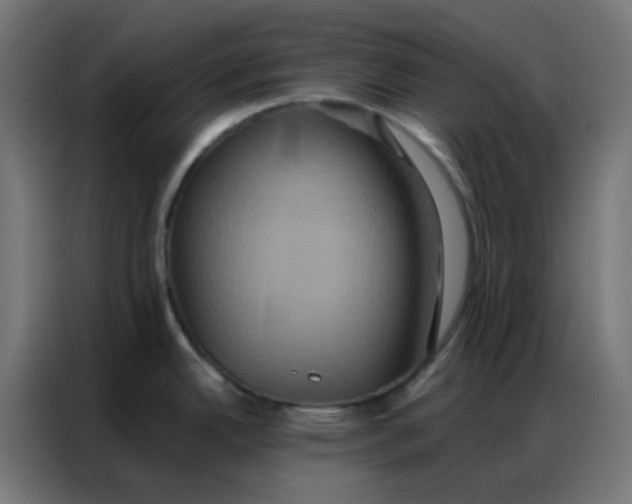 X0000086791342200705041540