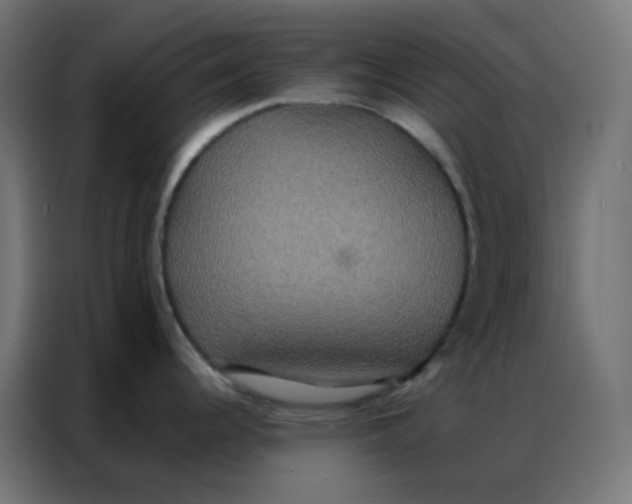 X0000086791344200705041540