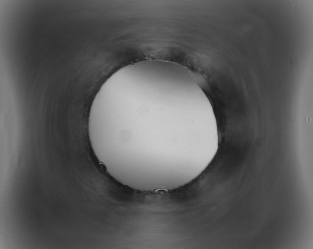 X0000086791345200705041540