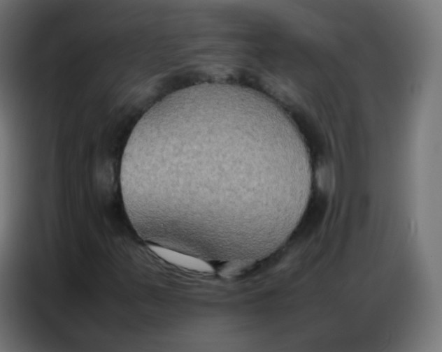 X0000086791347200705041540