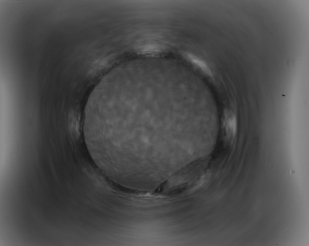 X0000086791348200705041540