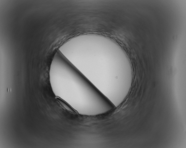 X0000086791349200705041540