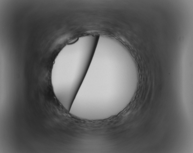 X0000086791351200705041540