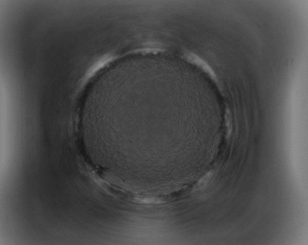 X0000086791352200705041540