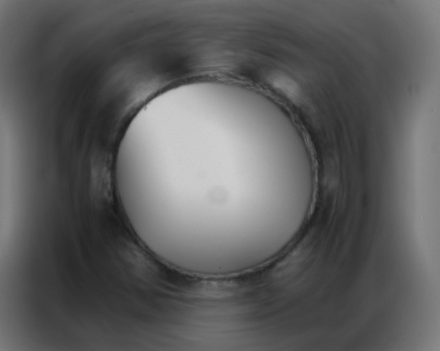 X0000086791354200705041540