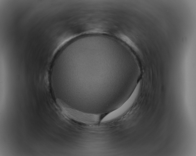 X0000086791356200705041540