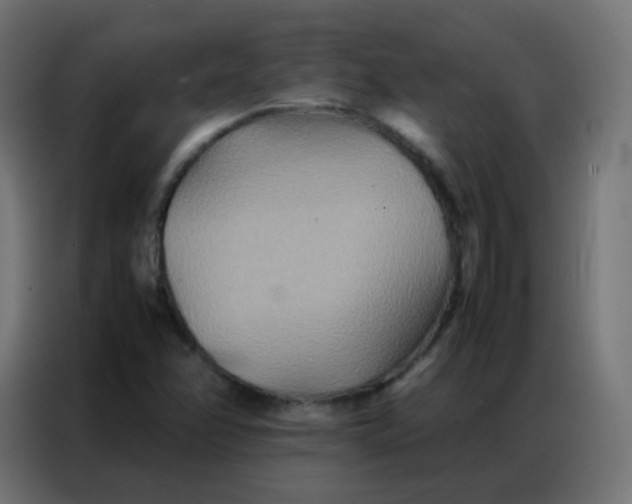 X0000086791358200705041539