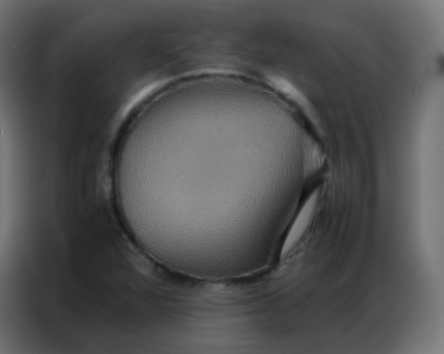 X0000086791360200705041539