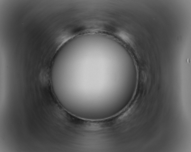 X0000086791361200705041539