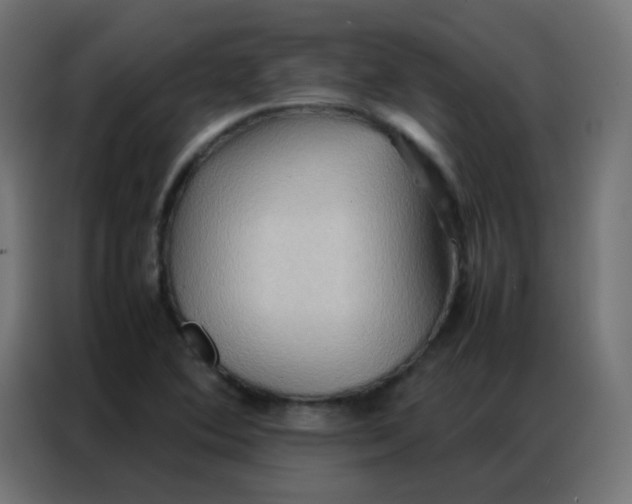 X0000086791364200705041539