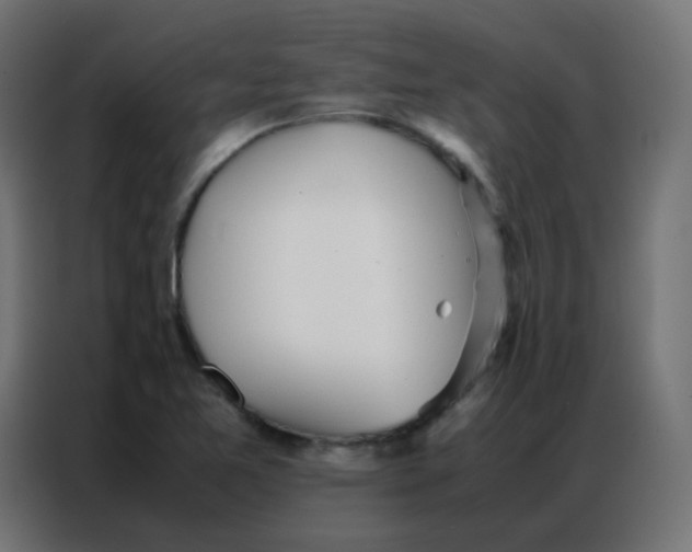 X0000086791365200705041539