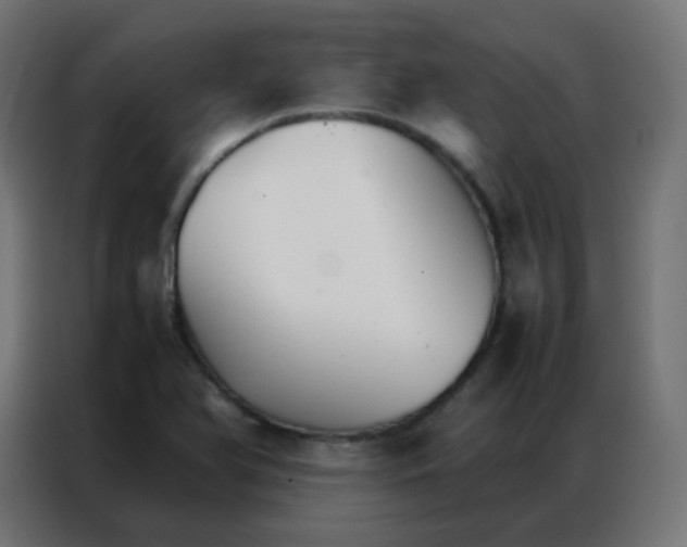 X0000086791366200705041539