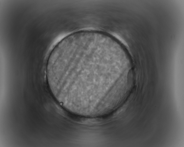 X0000086791367200705041539