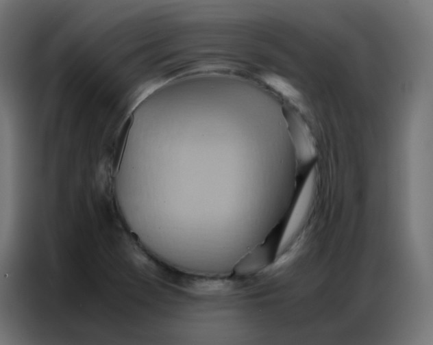 X0000086791369200705041539