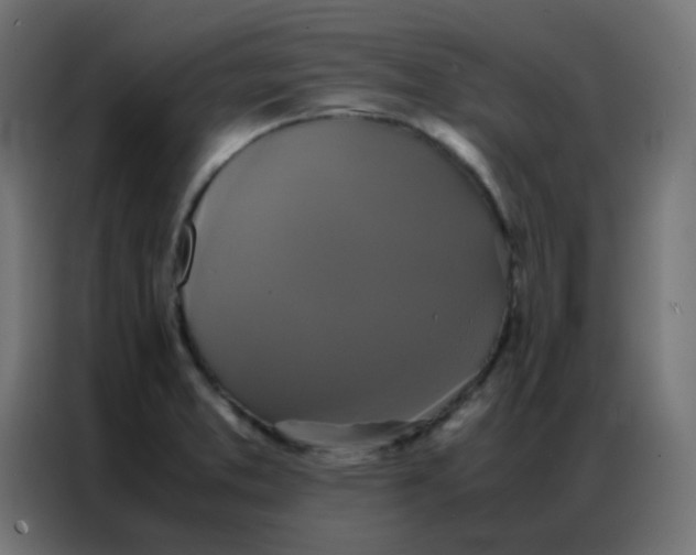 X0000086791373200705041539