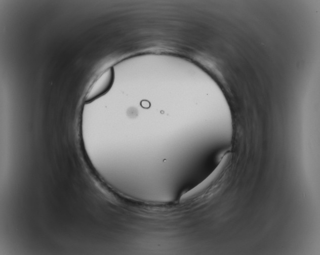 X0000086791375200705041539