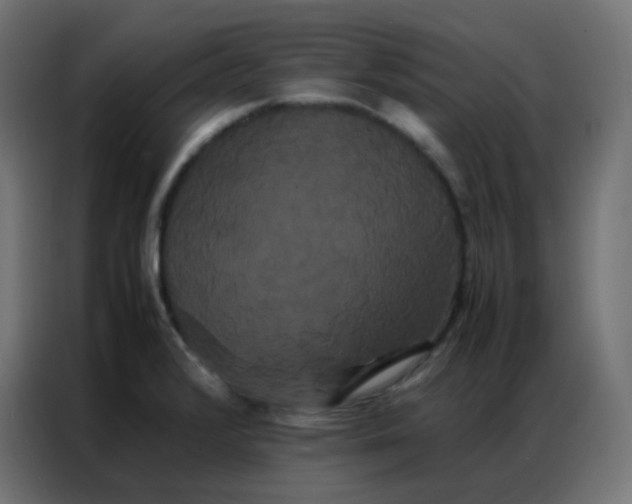 X0000086791376200705041539