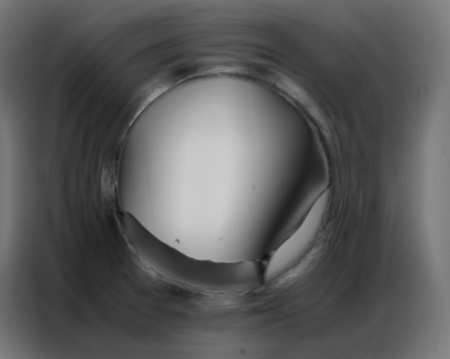 X0000086791377200705041539