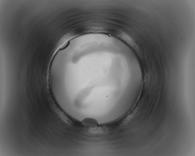 X0000086791378200705041539