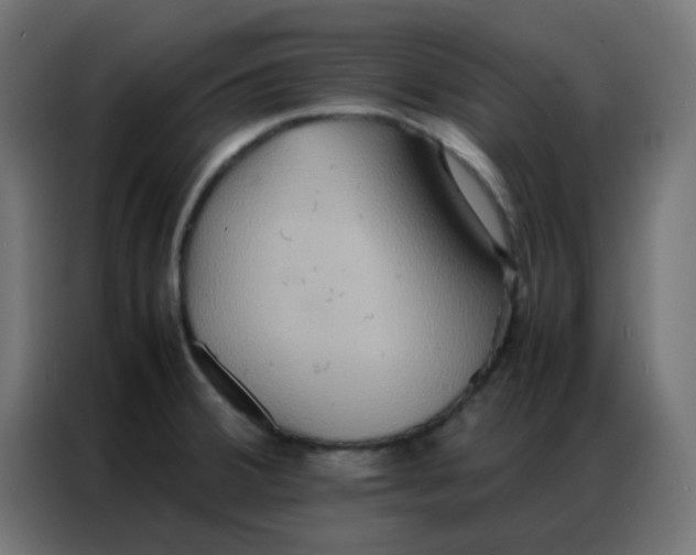 X0000086791380200705041539