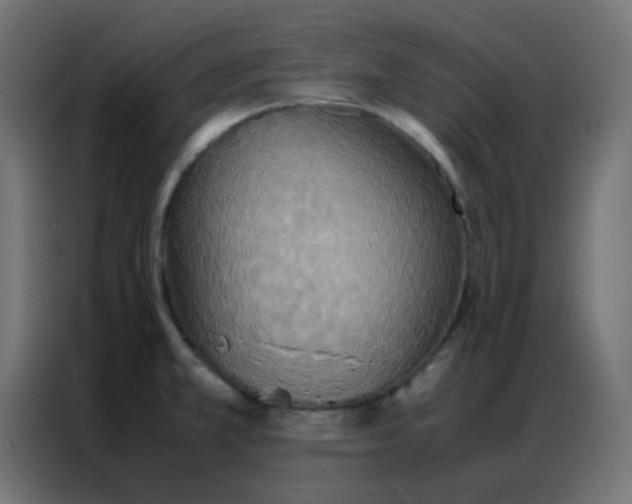 X0000086791381200705041539