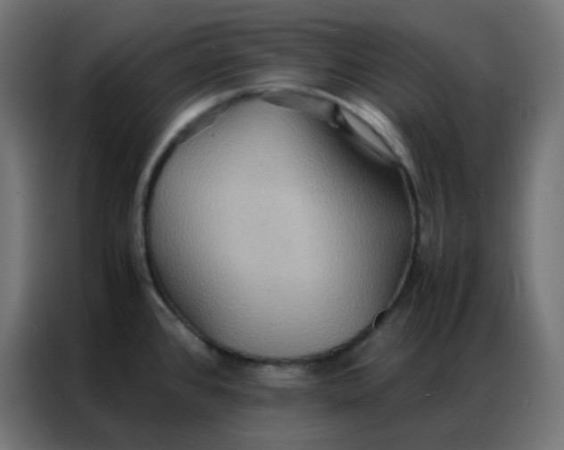 X0000086791384200705041539