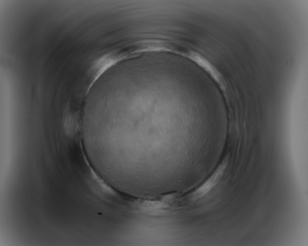 X0000086791385200705041539