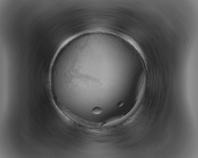 X0000086791388200705041539