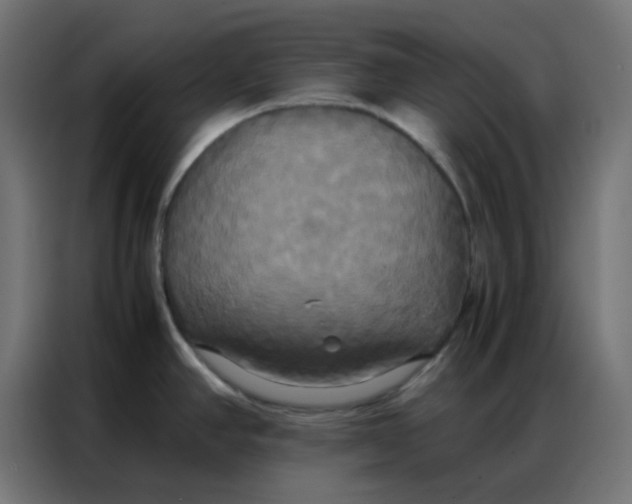 X0000086791390200705041539