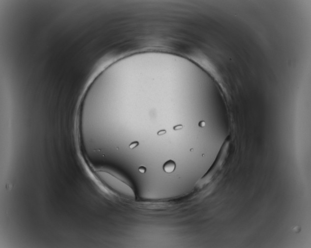 X0000086791391200705041539