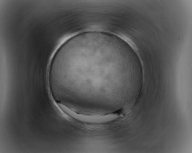 X0000086791392200705041539