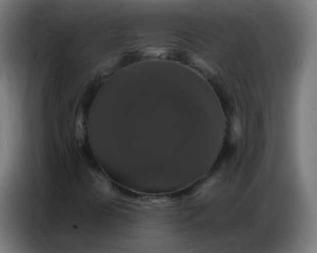 X0000086791394200705041538