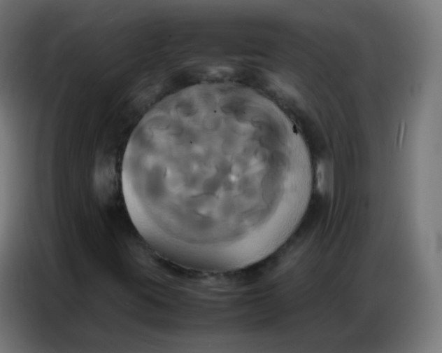 X0000086791395200705041538