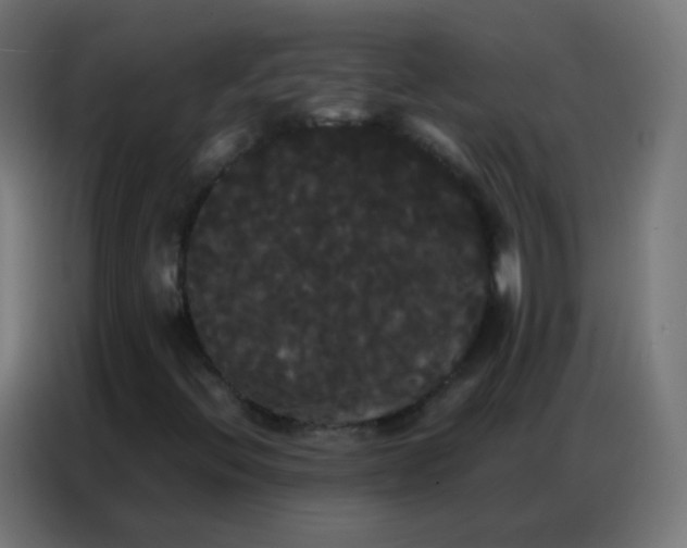 X0000086791396200705041538