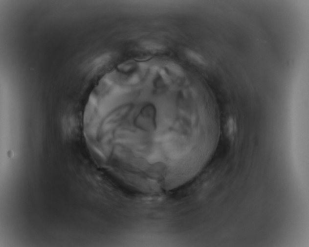 X0000086791397200705041538