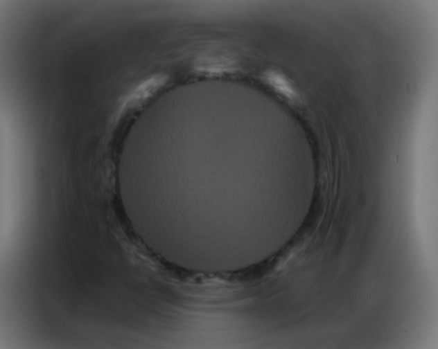 X0000086791398200705041538