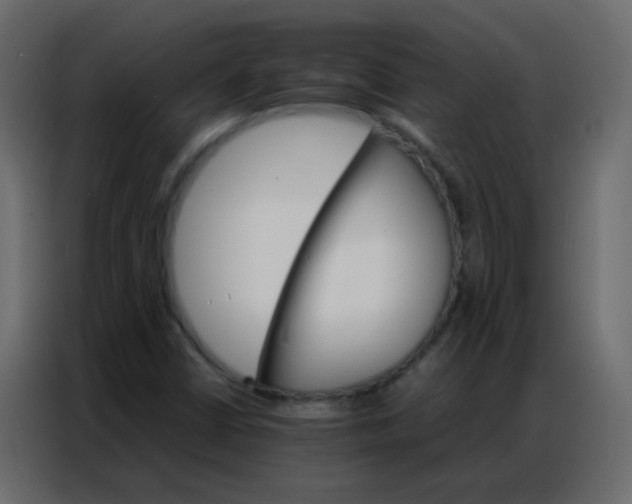 X0000086791402200705041539