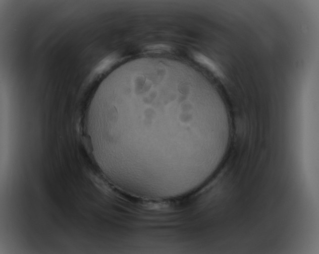 X0000086791403200705041539