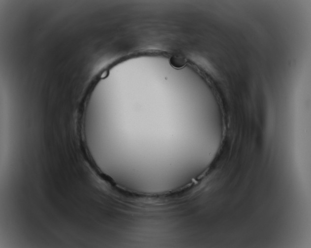 X0000086791404200705041539