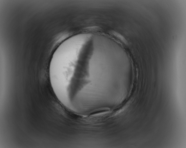 X0000086791405200705041539