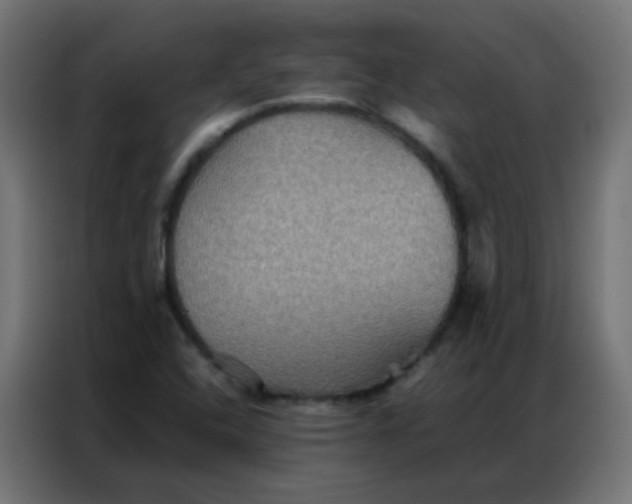 X0000086791408200705041539